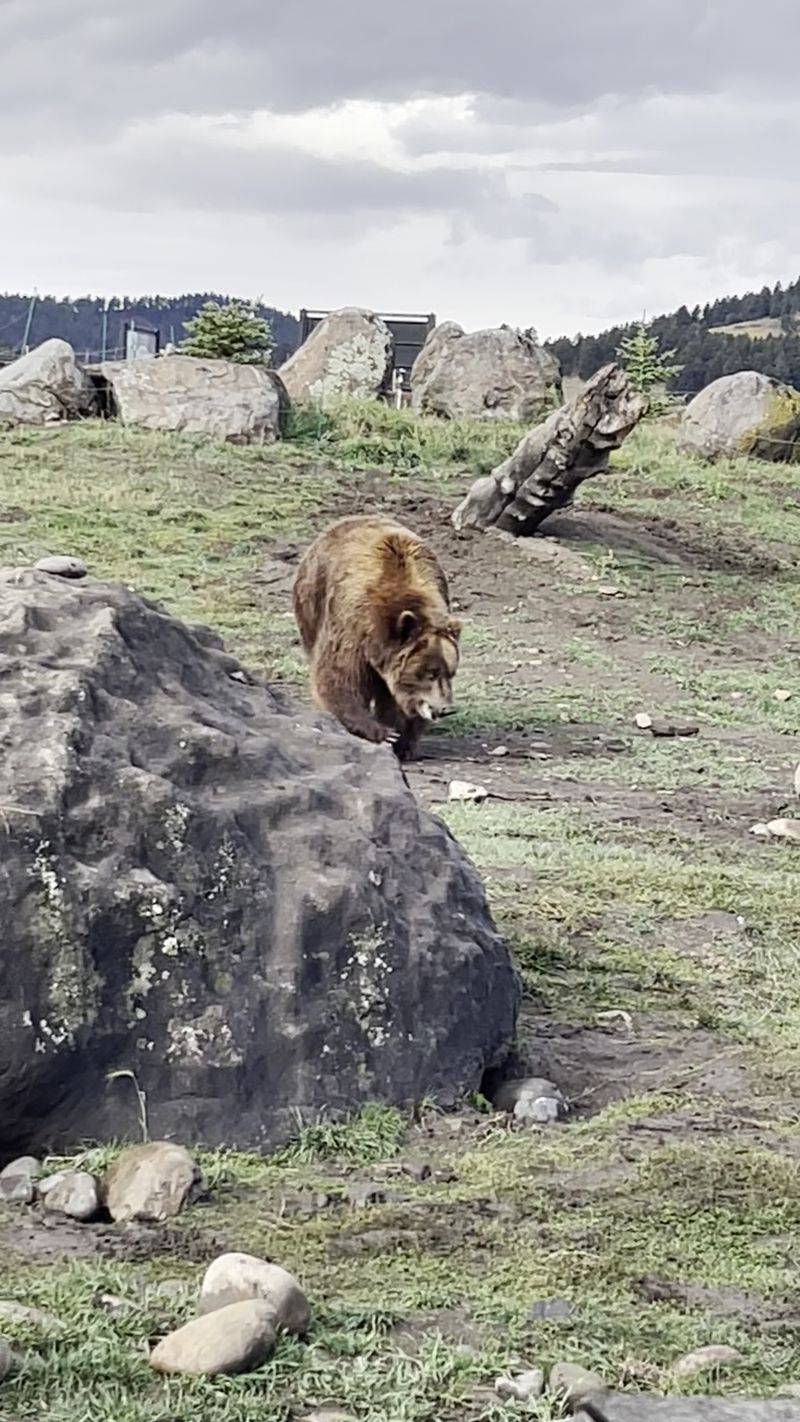 The Sanctuary Setting: Nature's Haven