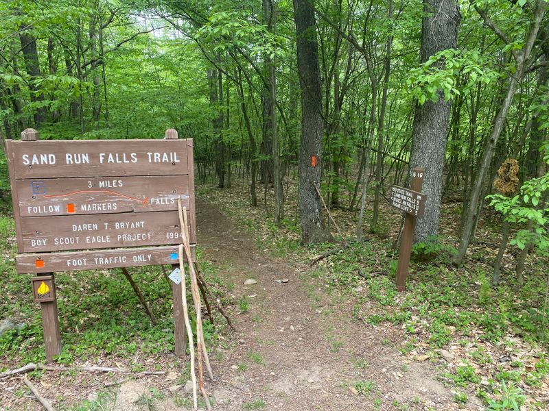 Access and Amenities