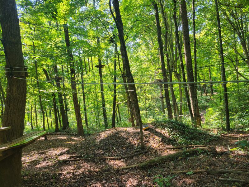 Navitat Knoxville &mdash; Knoxville, TN