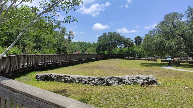 Camping Amid the Wild