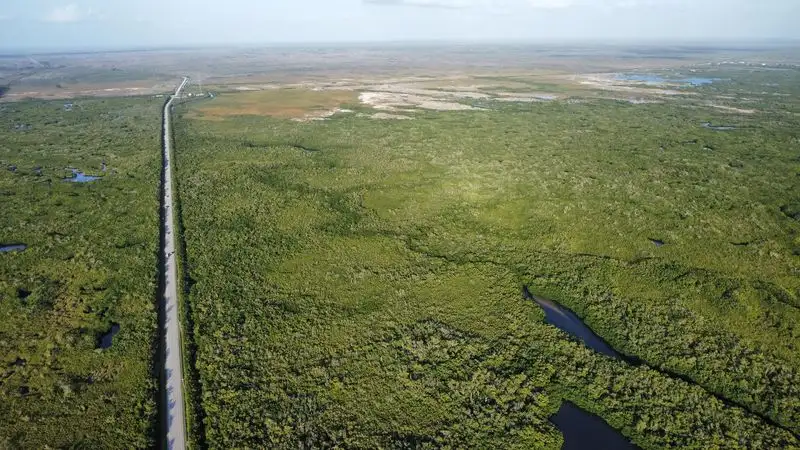Scenic Driving on Loop Roads