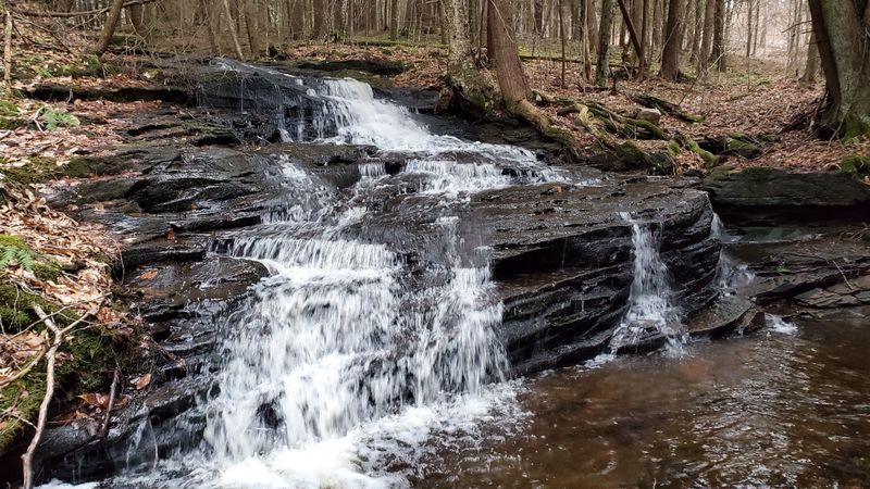 Rusty Falls