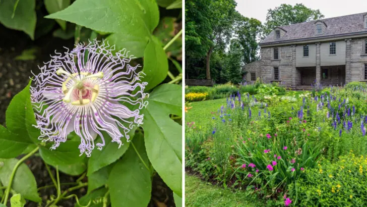 America&rsquo;s oldest botanic garden remains one of Pennsylvania&rsquo;s most overlooked places