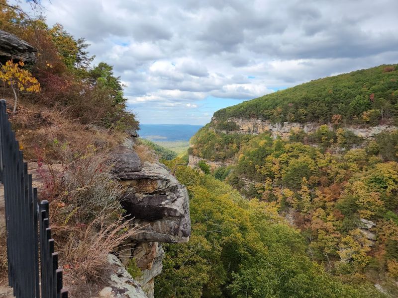 Cloudland Canyon State Park