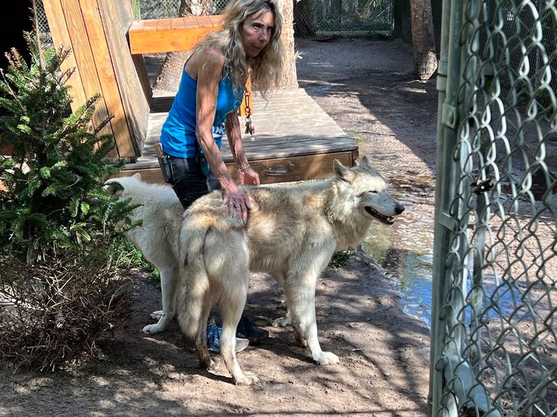 A Volunteer&rsquo;s Passion