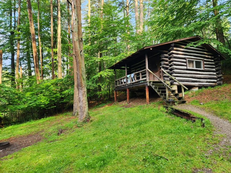 Cook Forest Cabins and Campgrounds