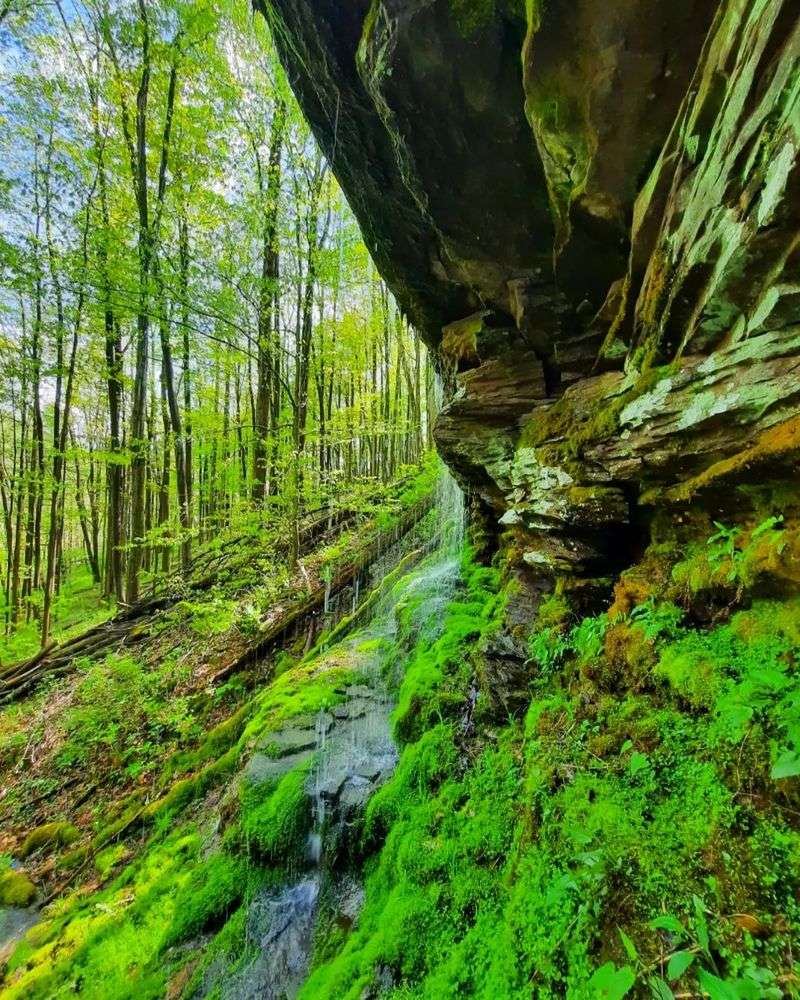 Tips for Waterfall Hunters