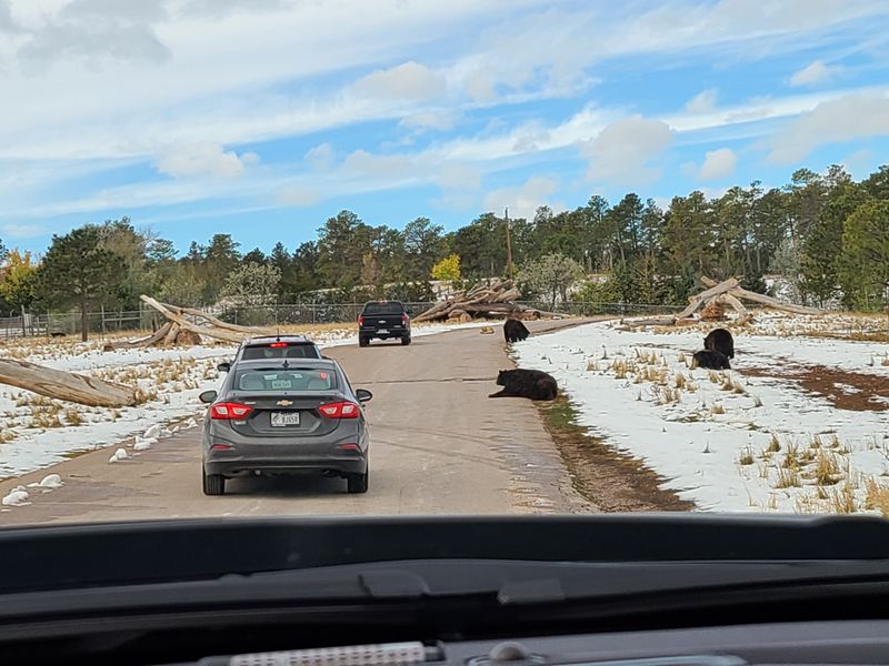 Safety rules and how to behave in your car