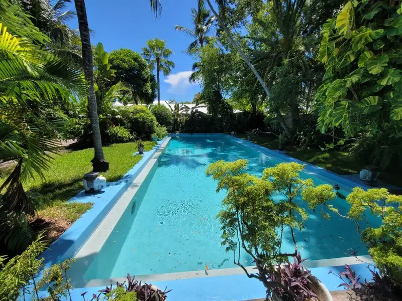 The Legendary Pool And The Penny Story