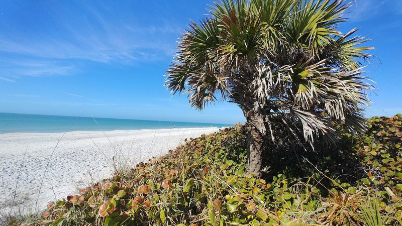 Secluded, Untouched Beaches