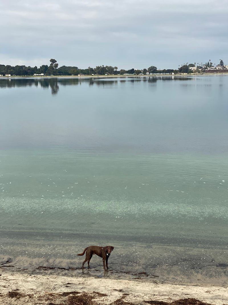 Fiesta Island Park &mdash; San Diego, CA