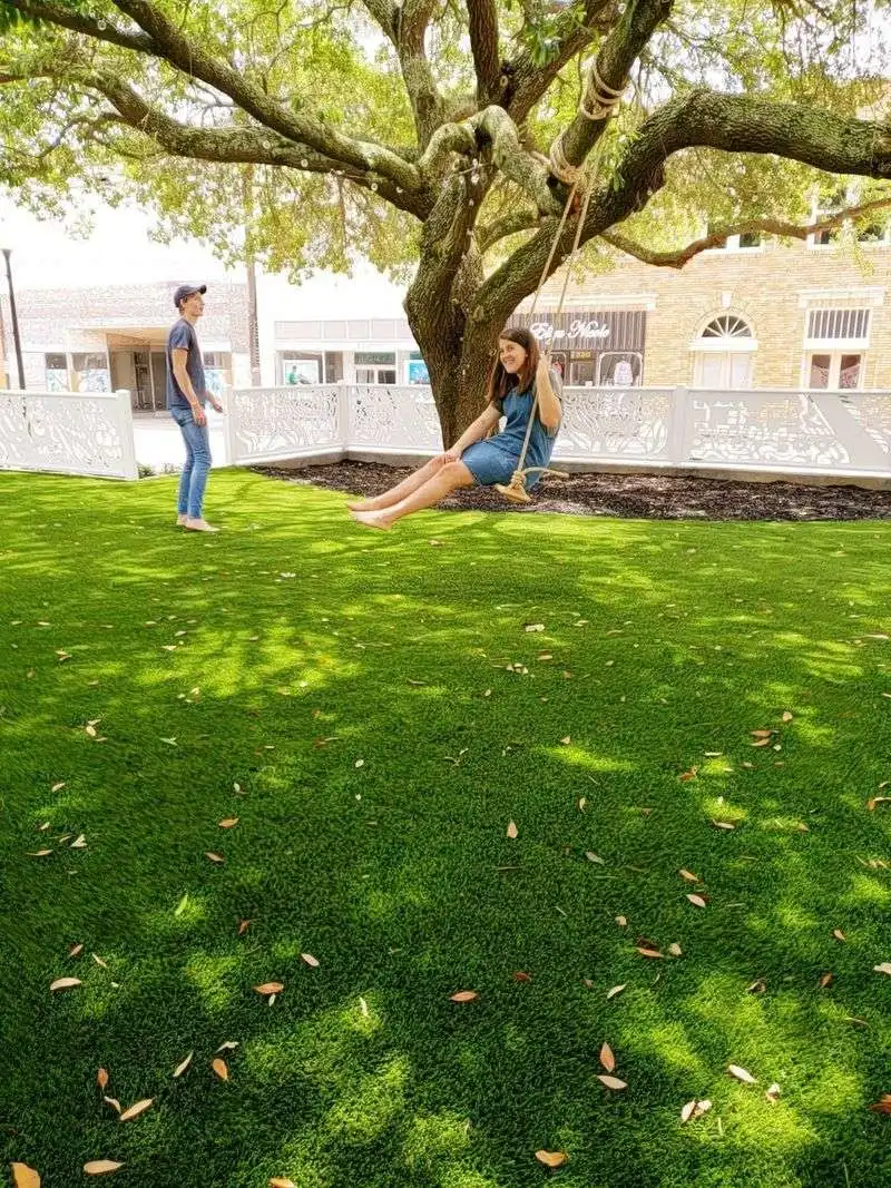 Parks, piney woods, and outdoor relaxation