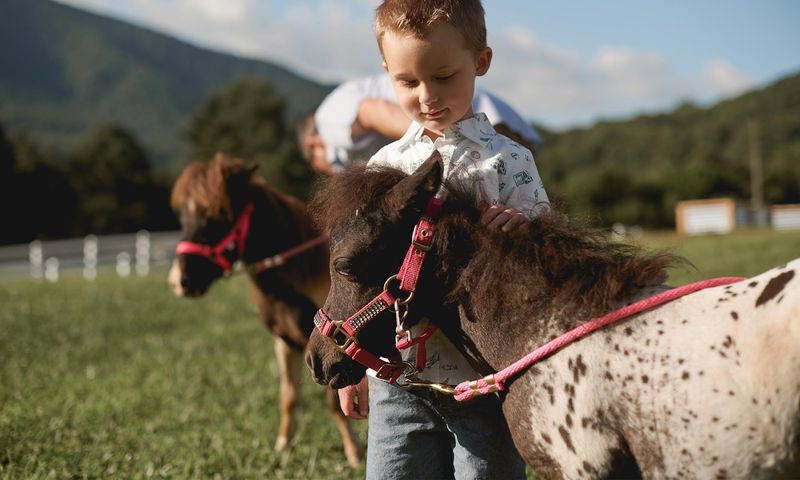 Experience a Local Farm Visit (U-Pick or Winchester Creek)