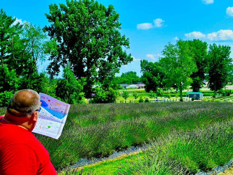 Guided tours and learning: from soil to essential oil