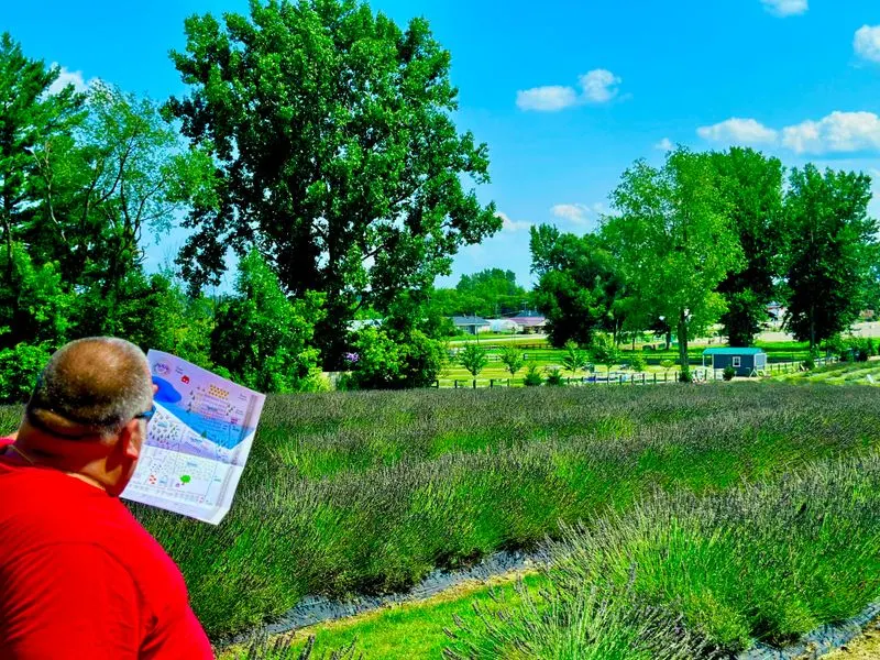 Guided tours and learning: from soil to essential oil