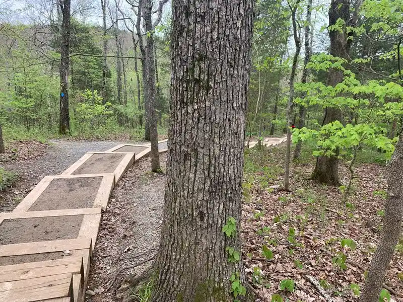 A Short Trail With Serious Payoff