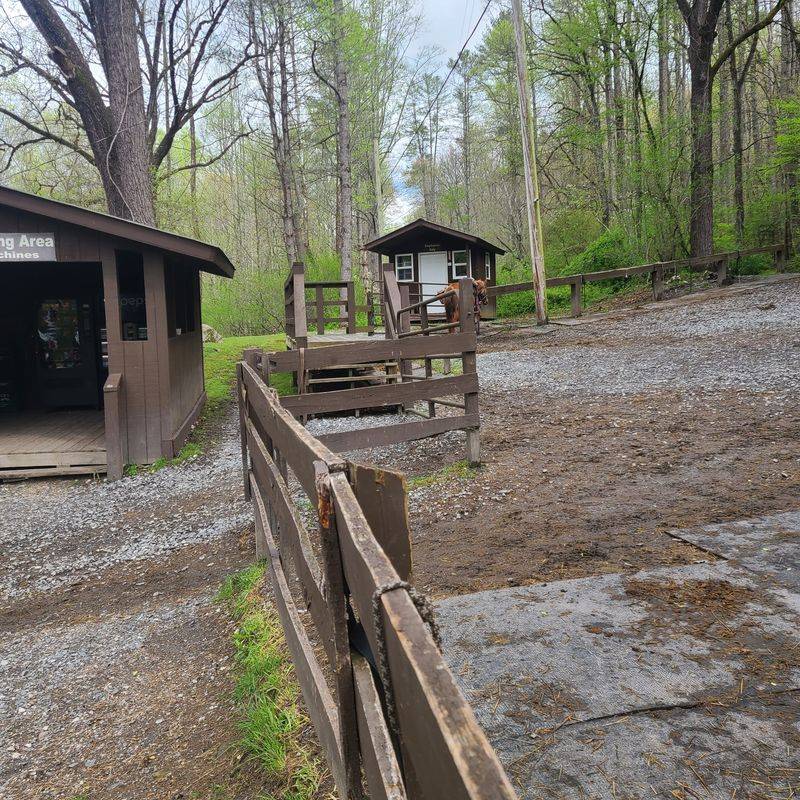 Booking & Reservation Tips