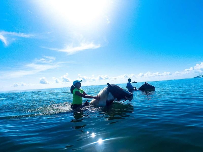 For First Timers and Nervous Riders