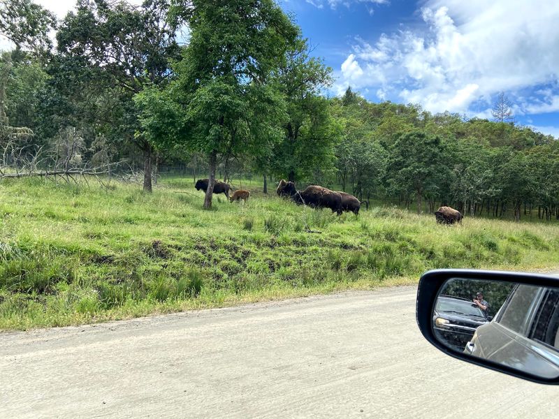 Tickets, Deals, and Planning Your Route