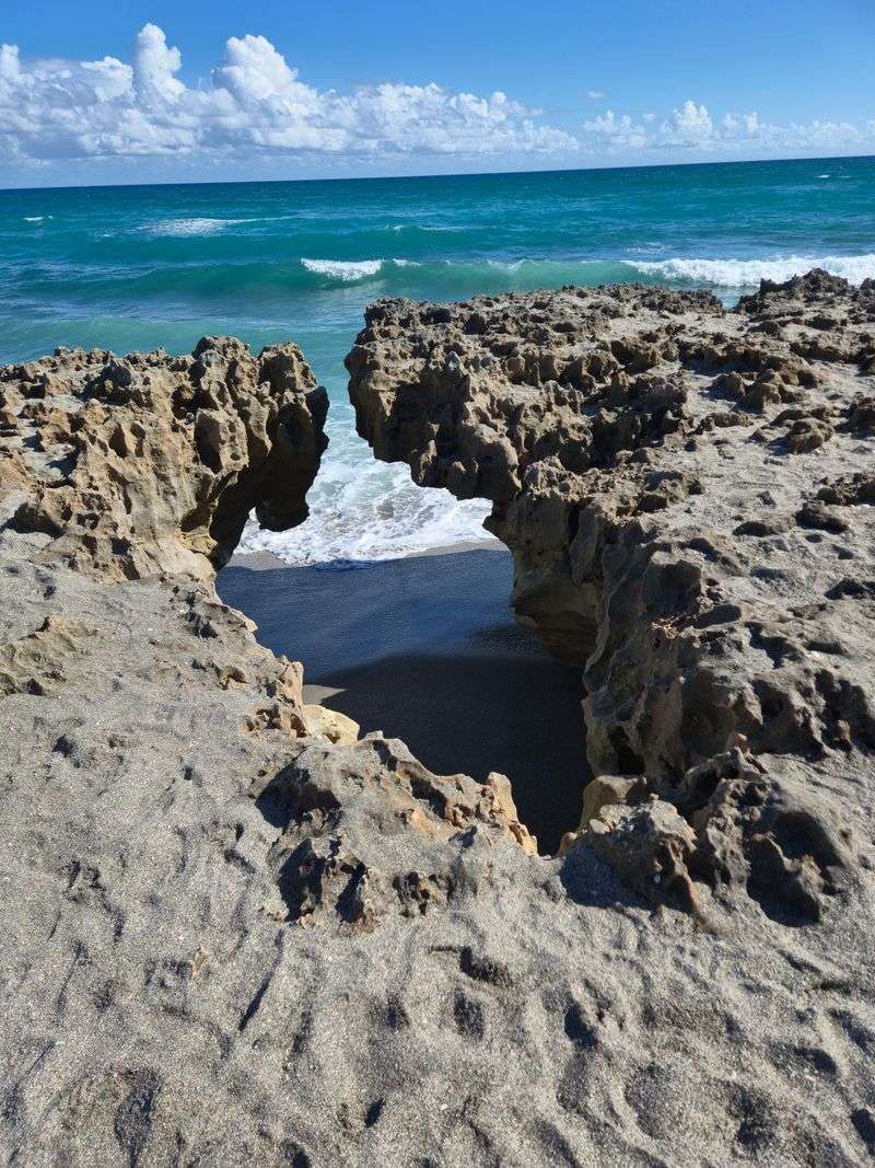 Why This Spot Feels Unusually Wild for South Florida