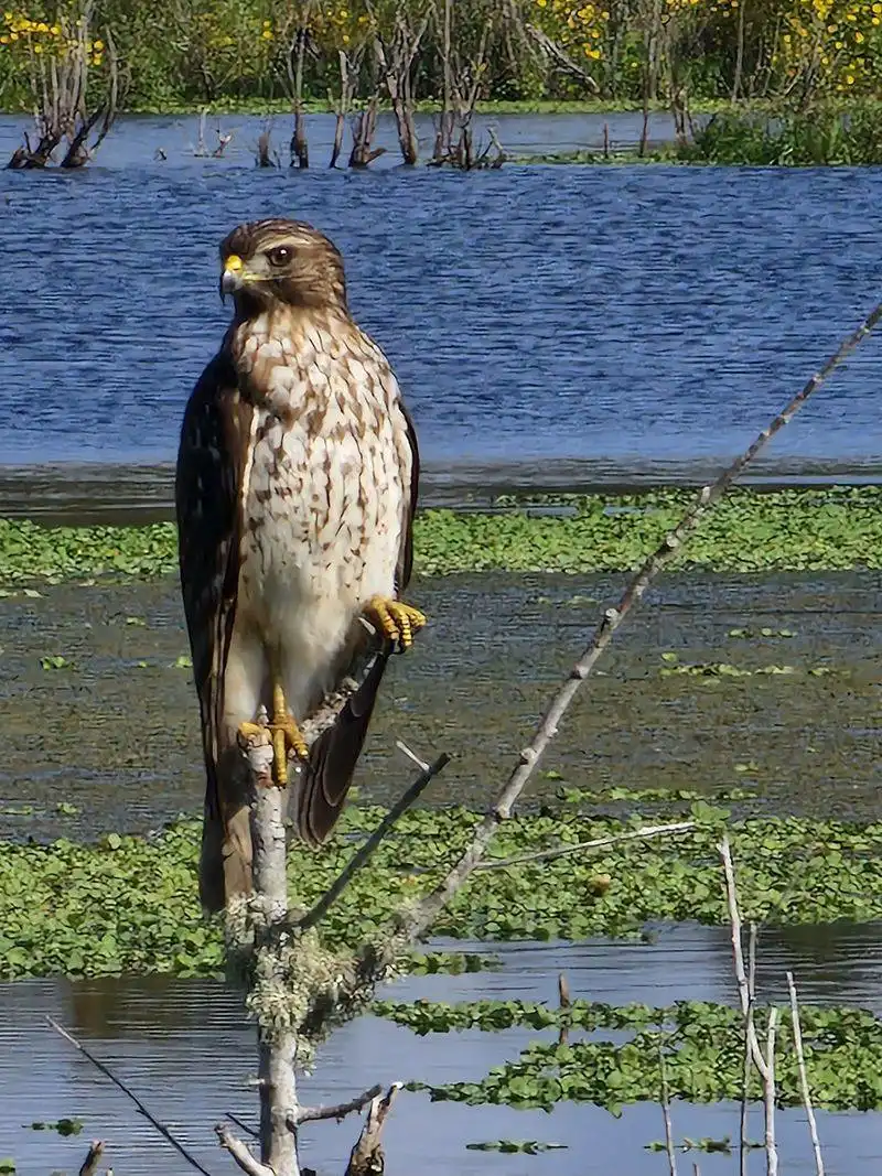 Photography and gear tips from the car