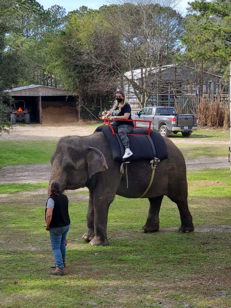 Photography tips and respectful etiquette