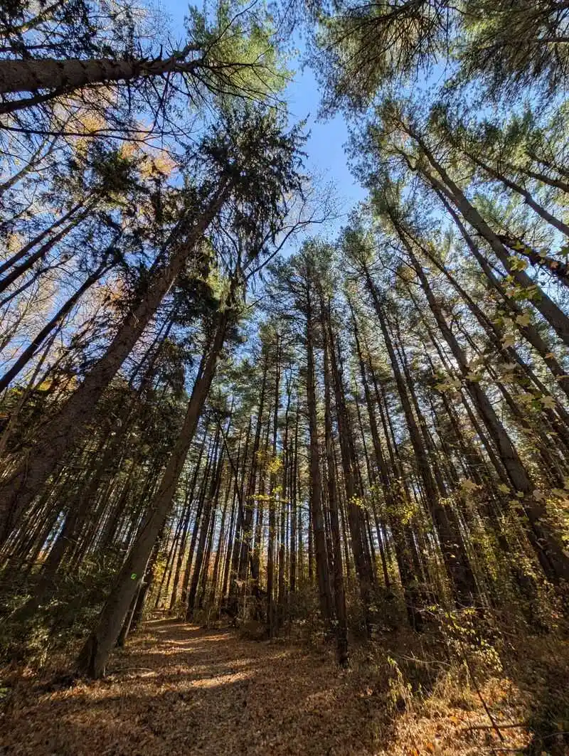 Wildlife and plants worth watching for