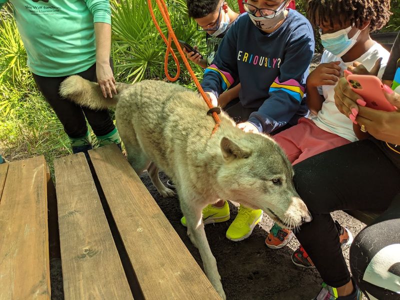 An Educator&rsquo;s Dream