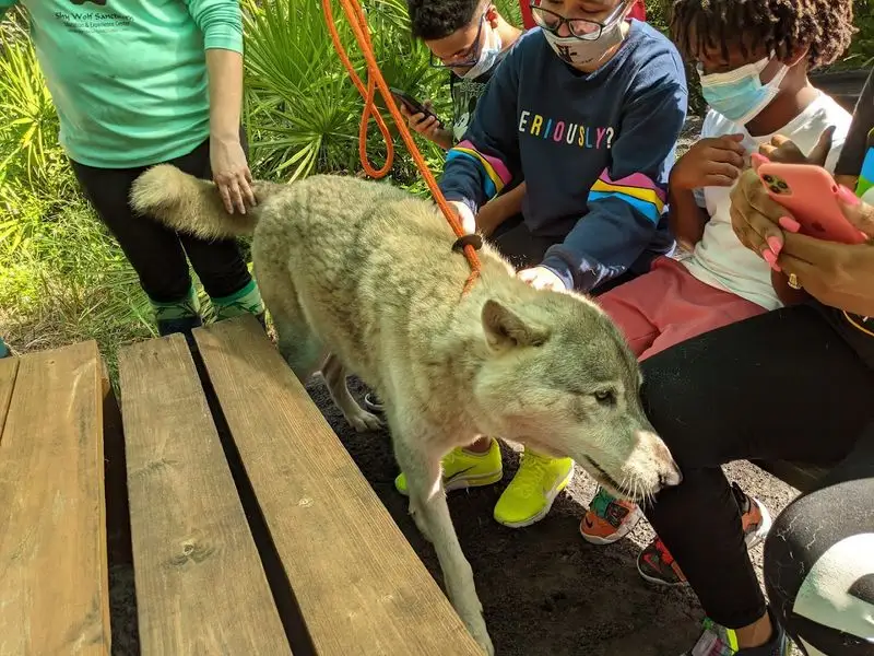 An Educator&rsquo;s Dream