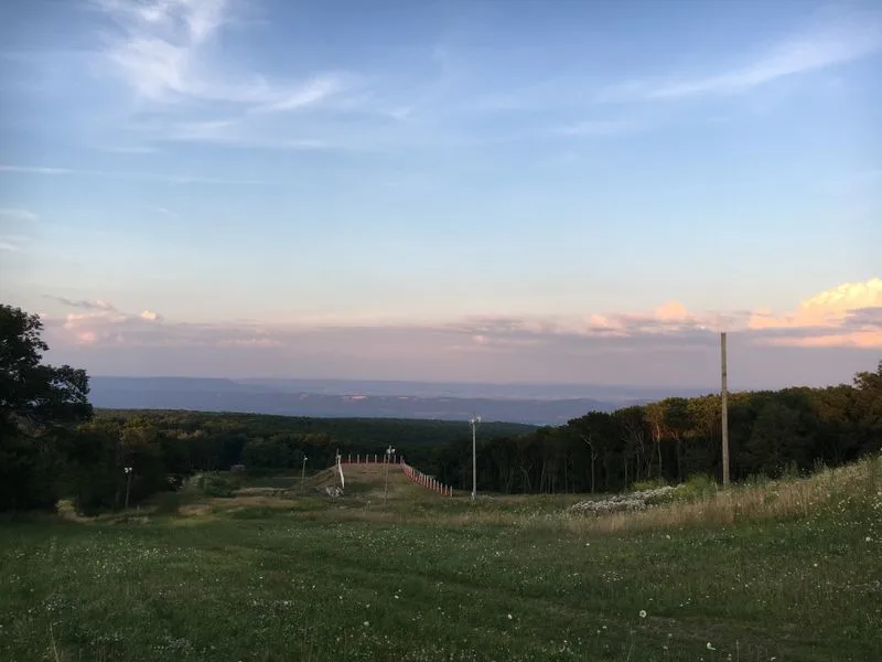 Blue Knob Summit & Pavia Overlook