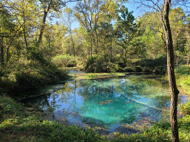 Montauk State Park Campground &mdash; Licking, MO