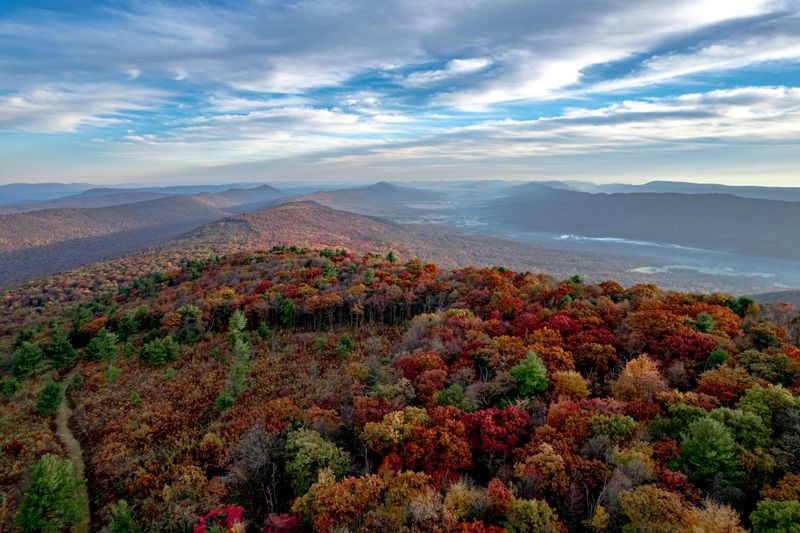 Big Mountain Overlook (Buchanan State Forest)