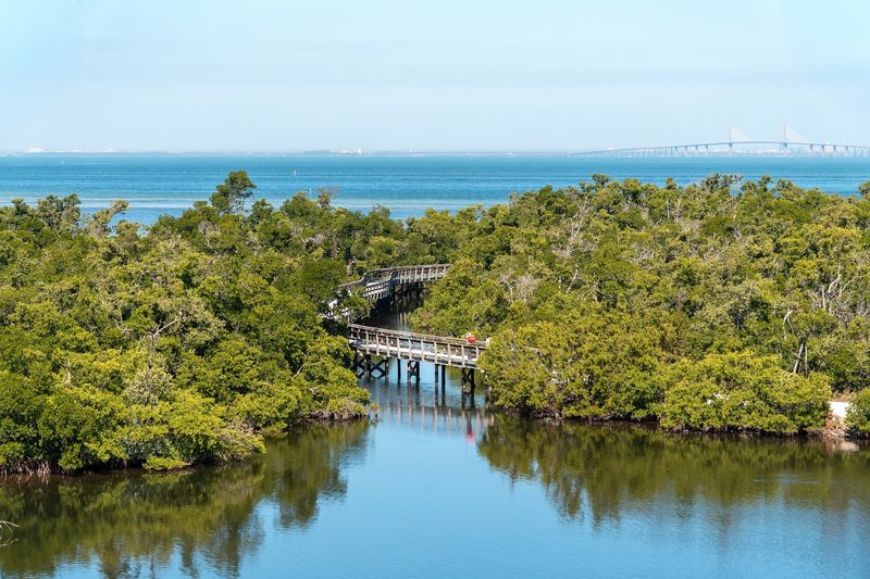 Fishing in Peaceful Waters