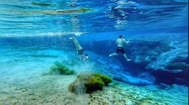 Underwater Photography