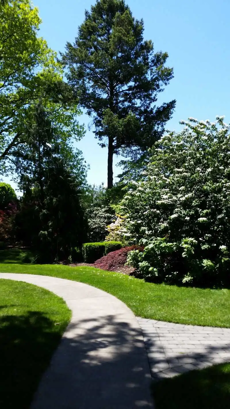 Photography tips for peak color