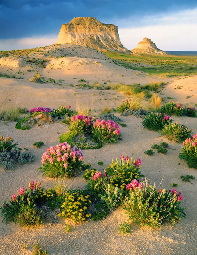 Pawnee Buttes — Pawnee National Grassland, CO