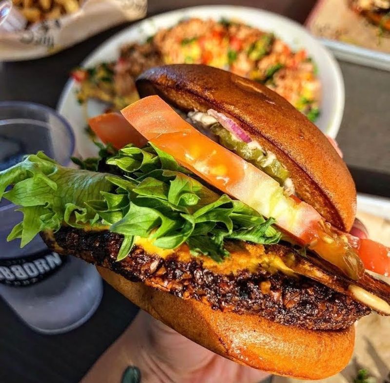 The Cove – San Antonio