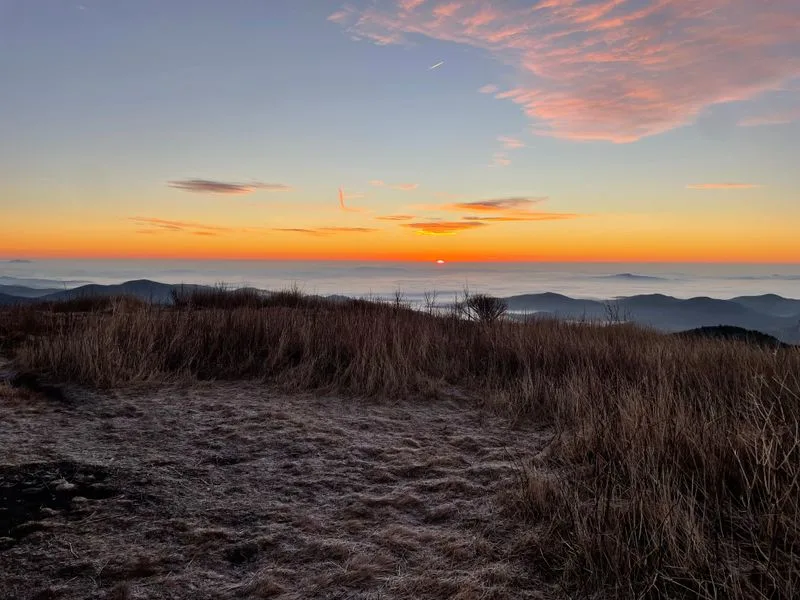 Black Balsam Knob Overlook