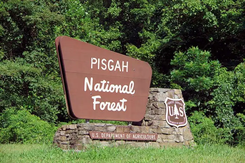 Pisgah National Forest Campgrounds