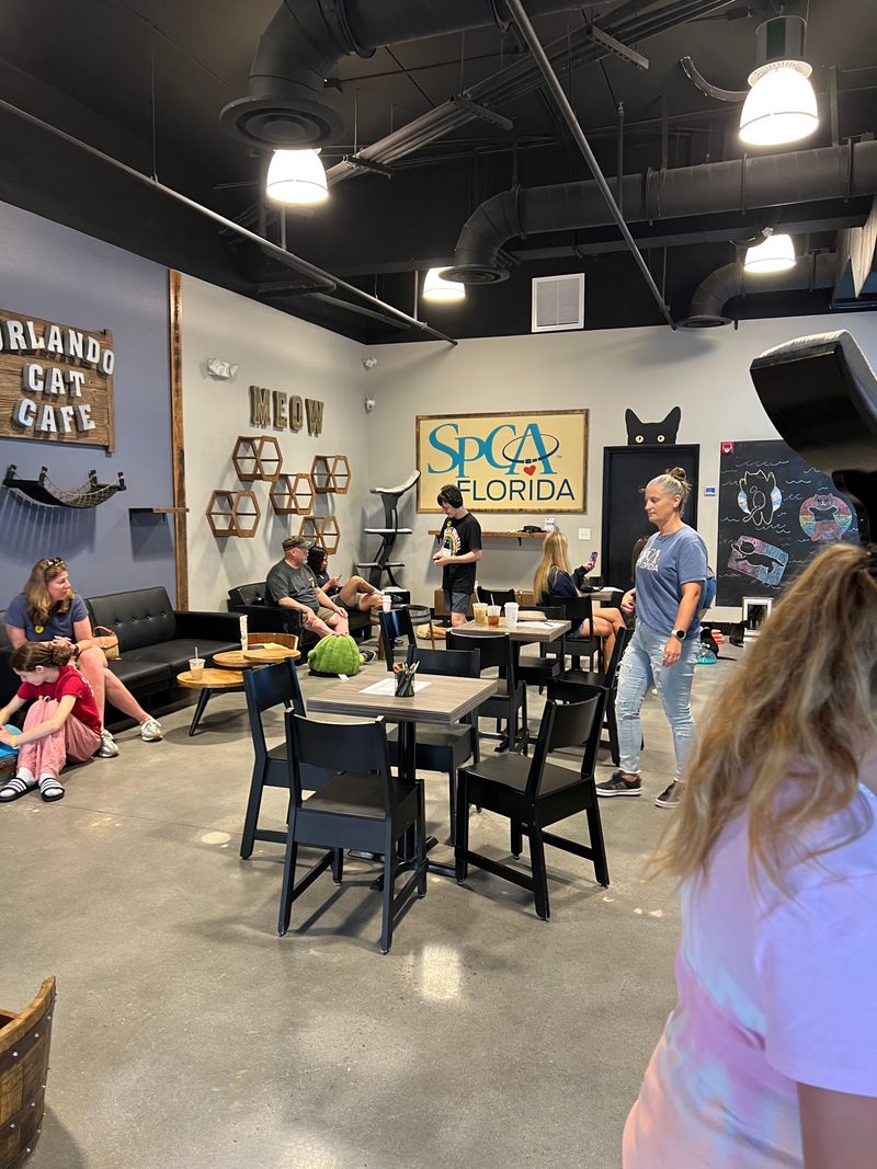 Family Friendly, With Thoughtful Rules