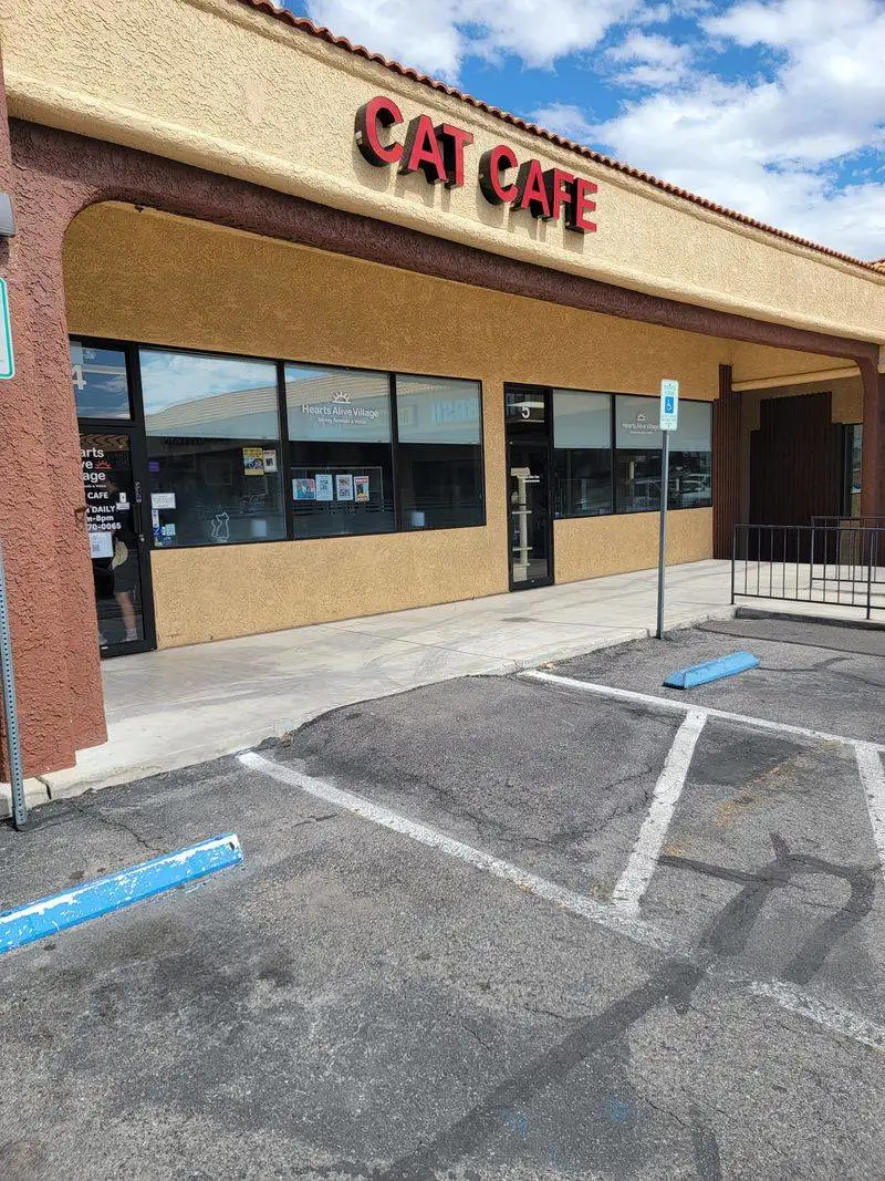 Parking, location details, and making Rainbow Boulevard easy