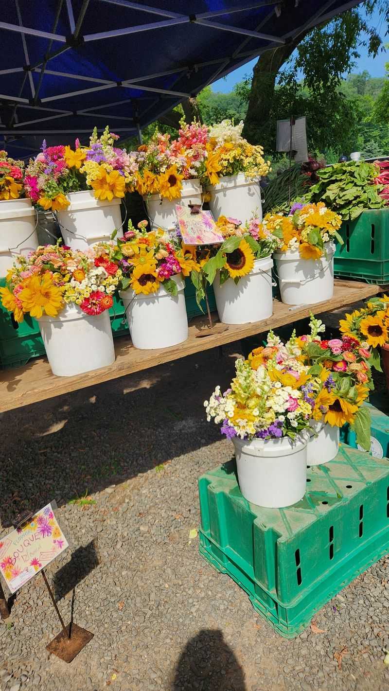 Local Produce and Plants