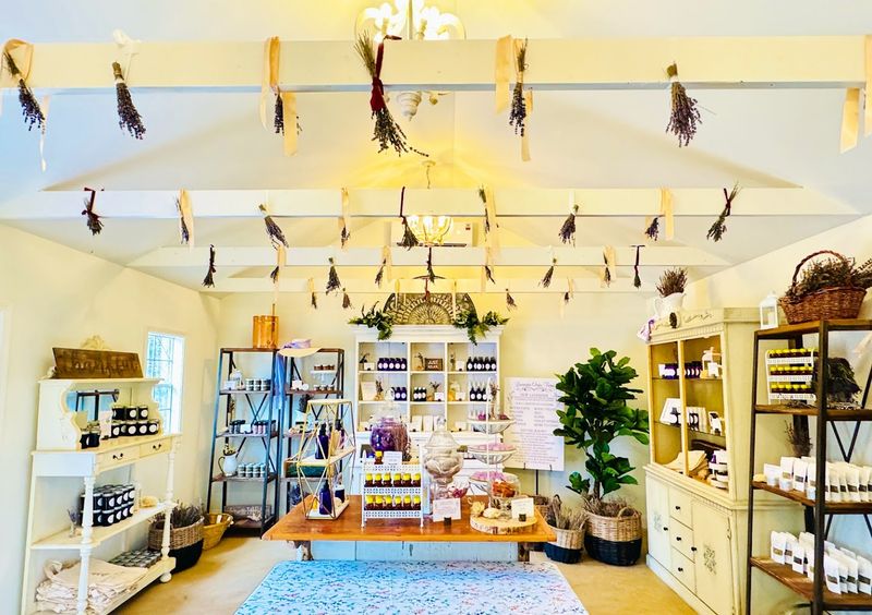 Educational Lavender Workshops