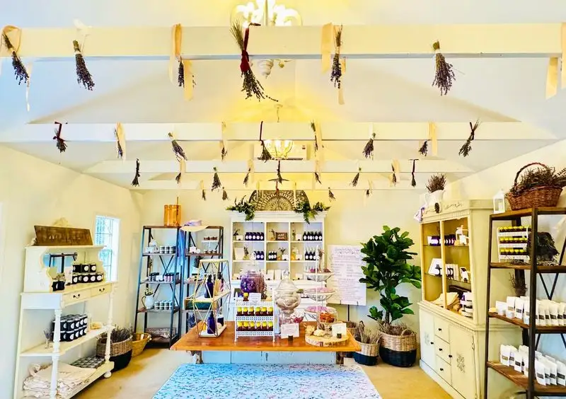 Educational Lavender Workshops