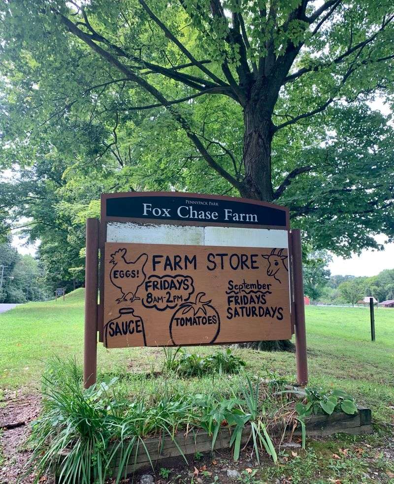 Fox Chase Farm Market