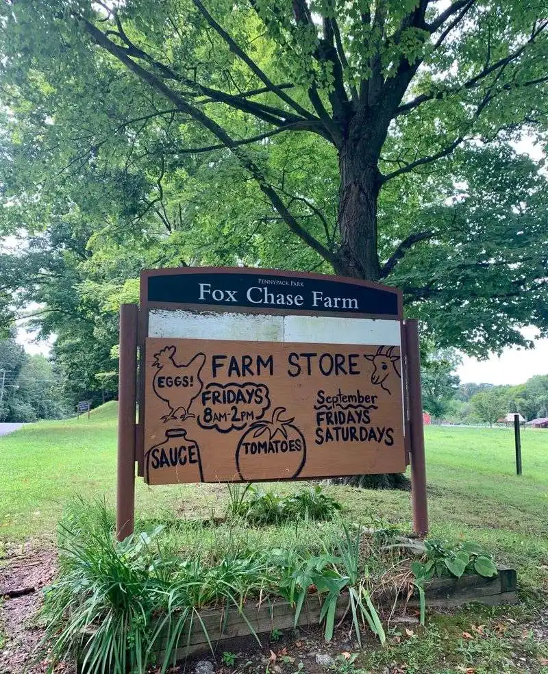 Fox Chase Farm Market