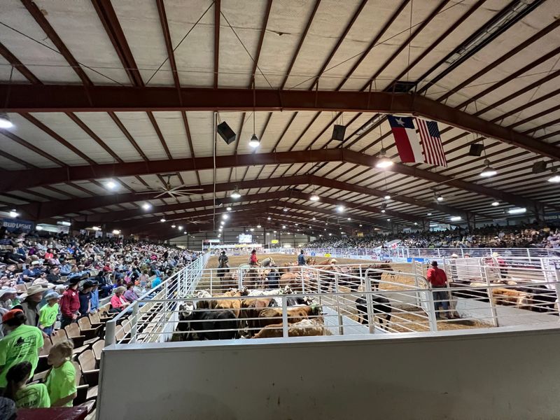Matagorda County Fair & Rodeo &ndash; Bay City