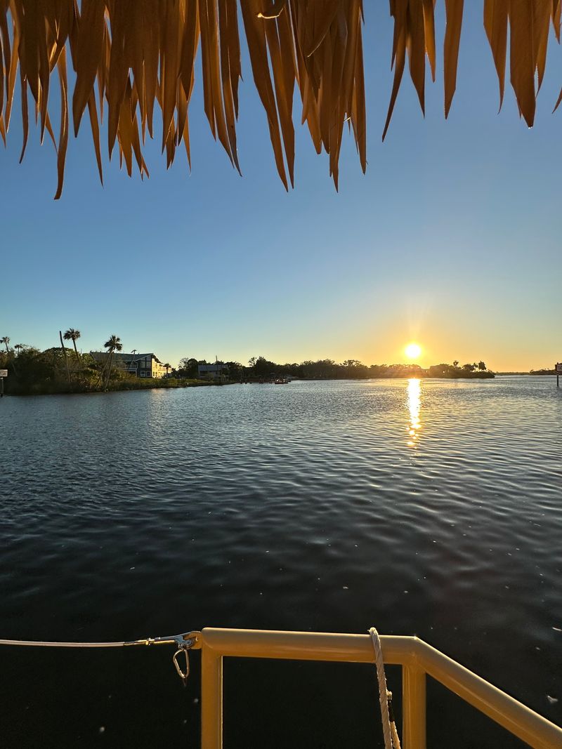 Best times to go and booking tips