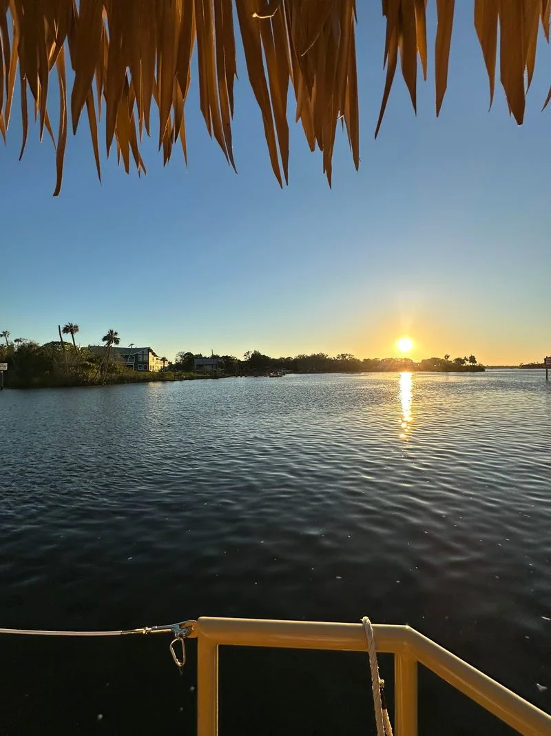 Best times to go and booking tips