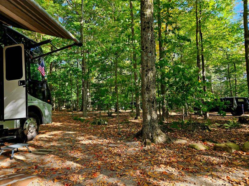 Cranberry Lake Campground &mdash; Cranberry Lake, NY